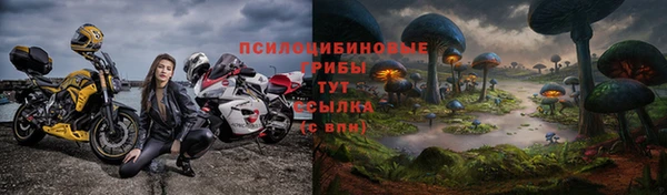 гидра Абдулино